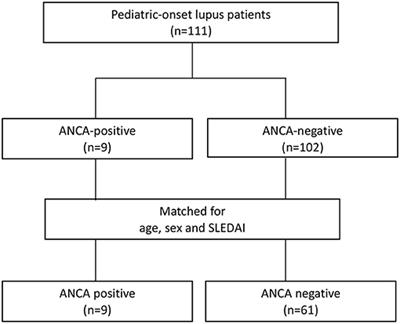 The Impact of Serum Anti-neutrophil Cytoplasmic Antibody on Clinical Characteristics and Outcomes in Pediatric-Onset Systemic Lupus Erythematosus Patients